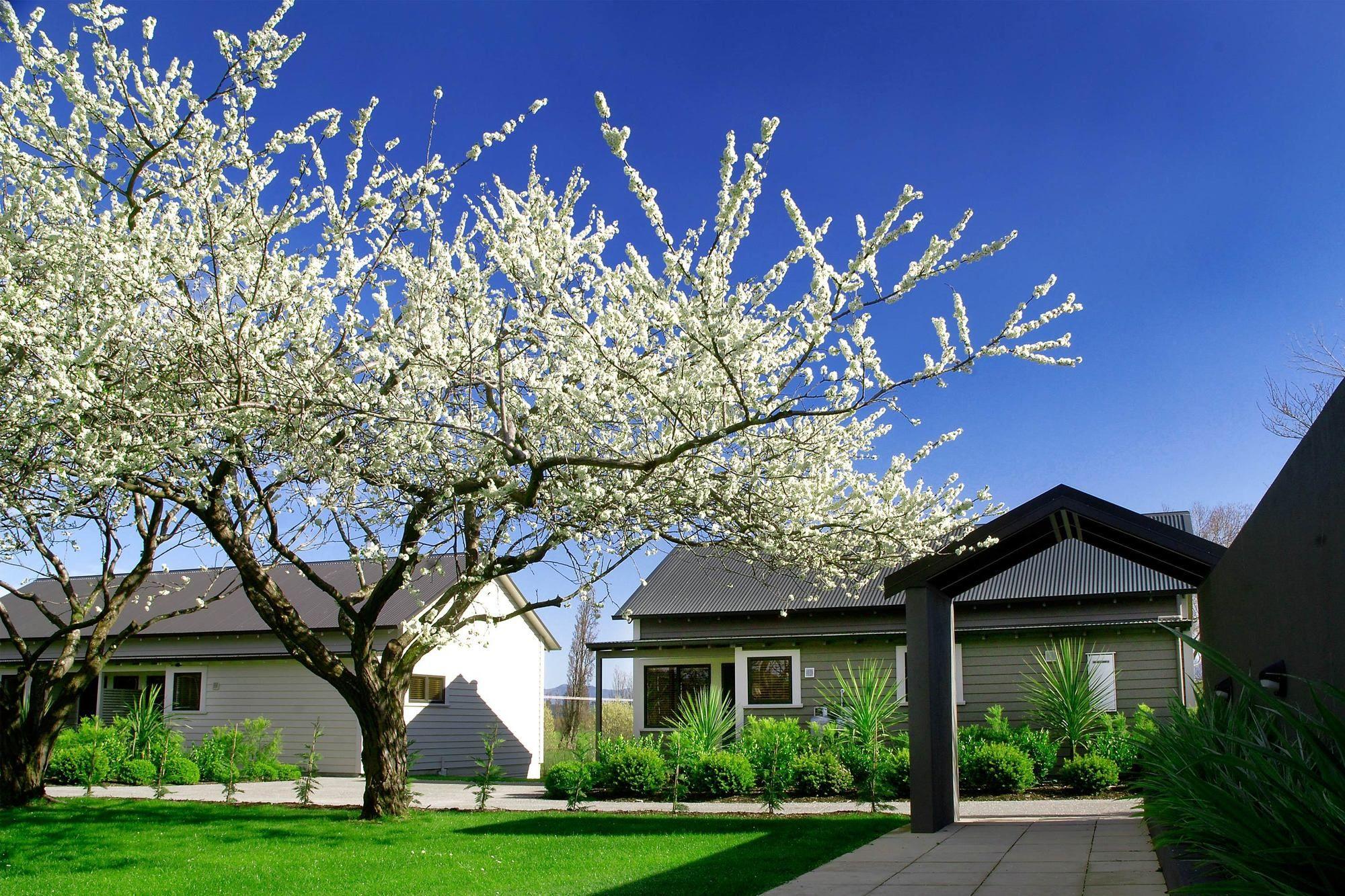 Parehua Resort Martinborough Exterior foto Residential area in the town